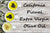 Extra Virgin Olive Oil - Californian Picual - Cibaria Store Supply